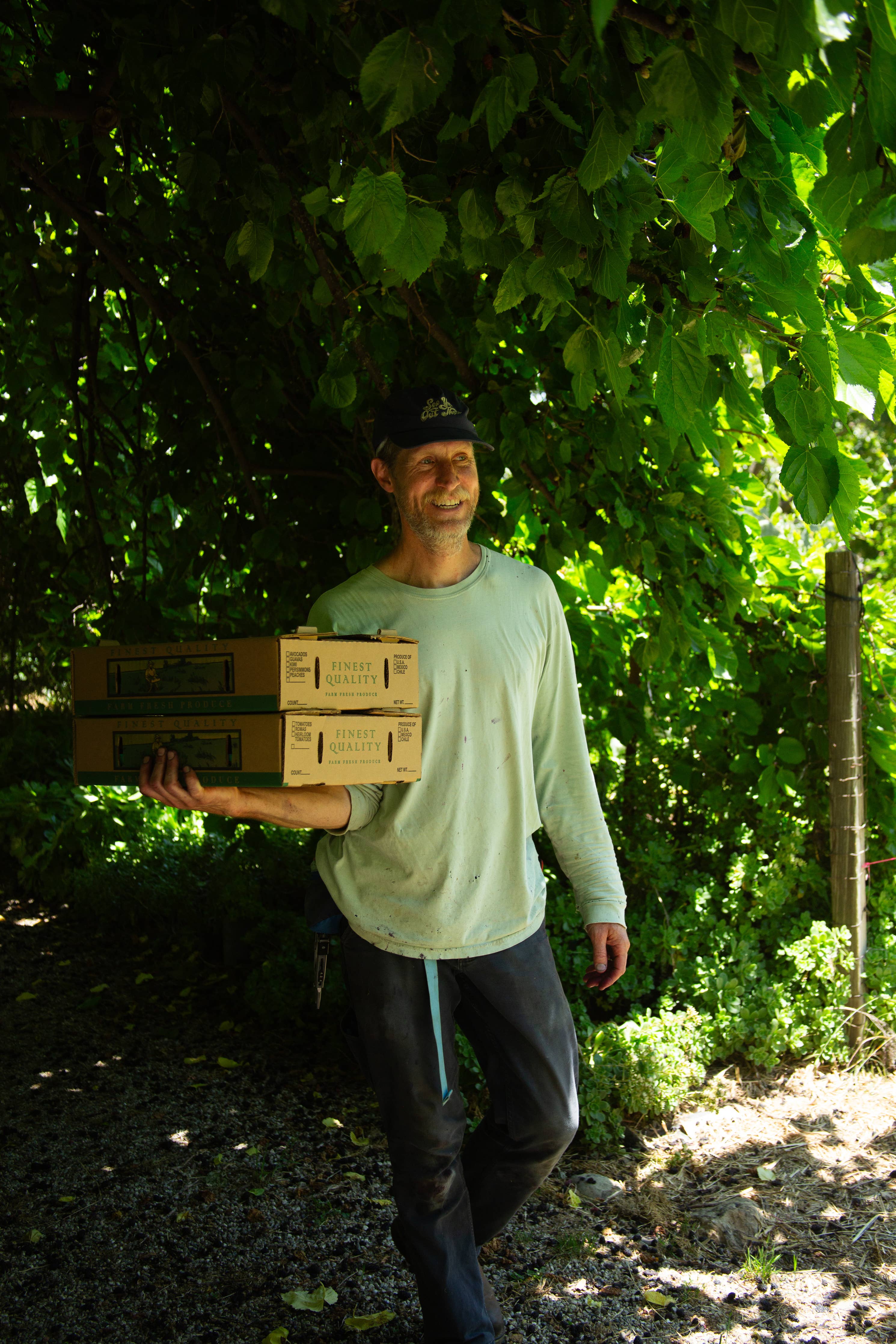 Certified Organic Goldbar Apricot &amp; Pakistan Mulberry