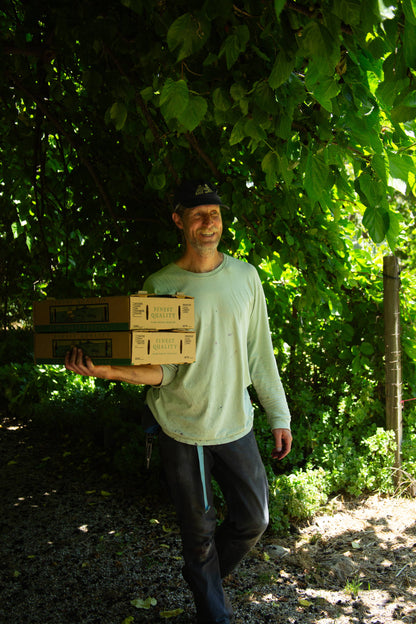 Certified Organic Goldbar Apricot &amp; Pakistan Mulberry