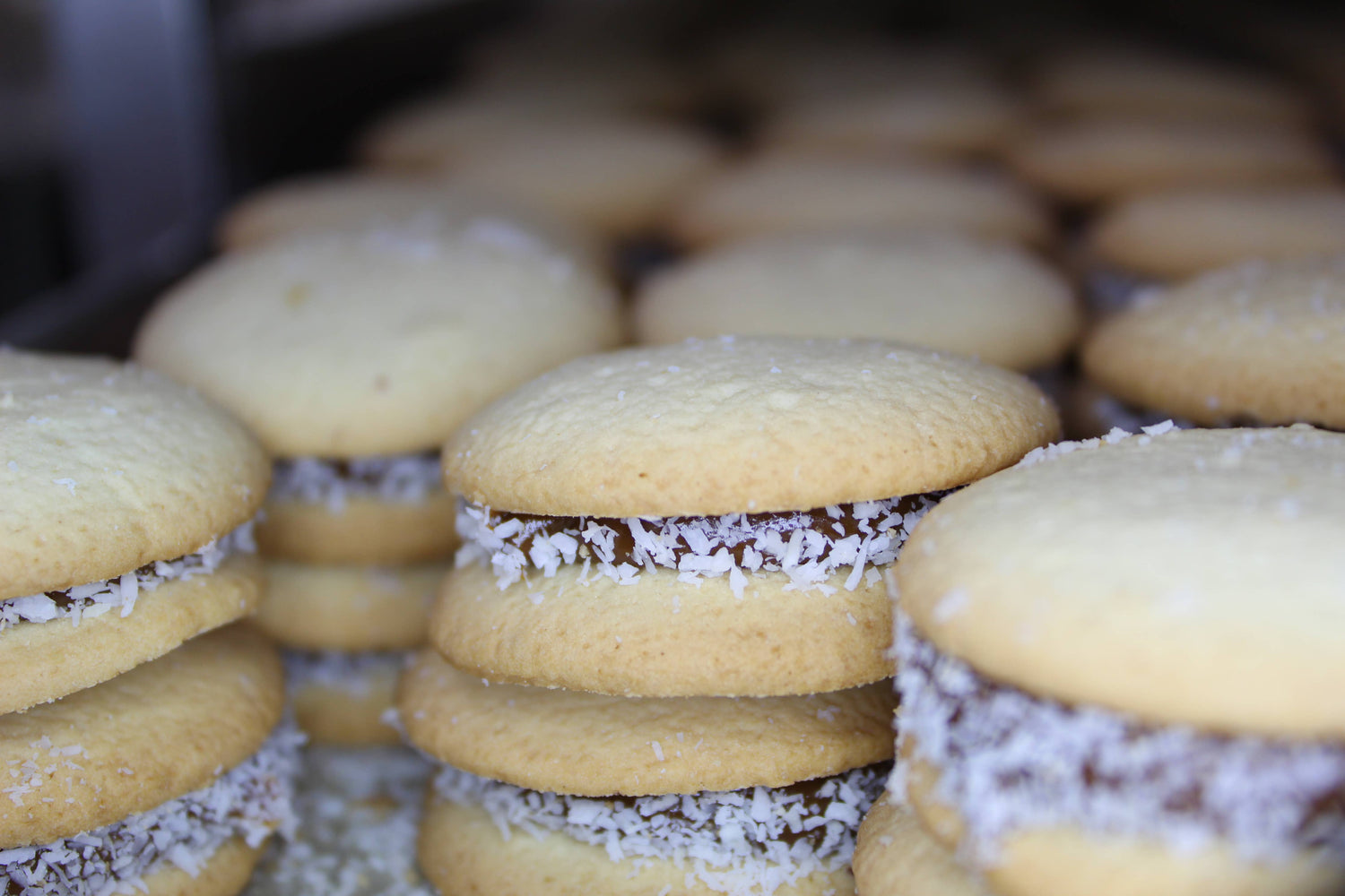 Traditional Alfajores Cookies - Box of 4