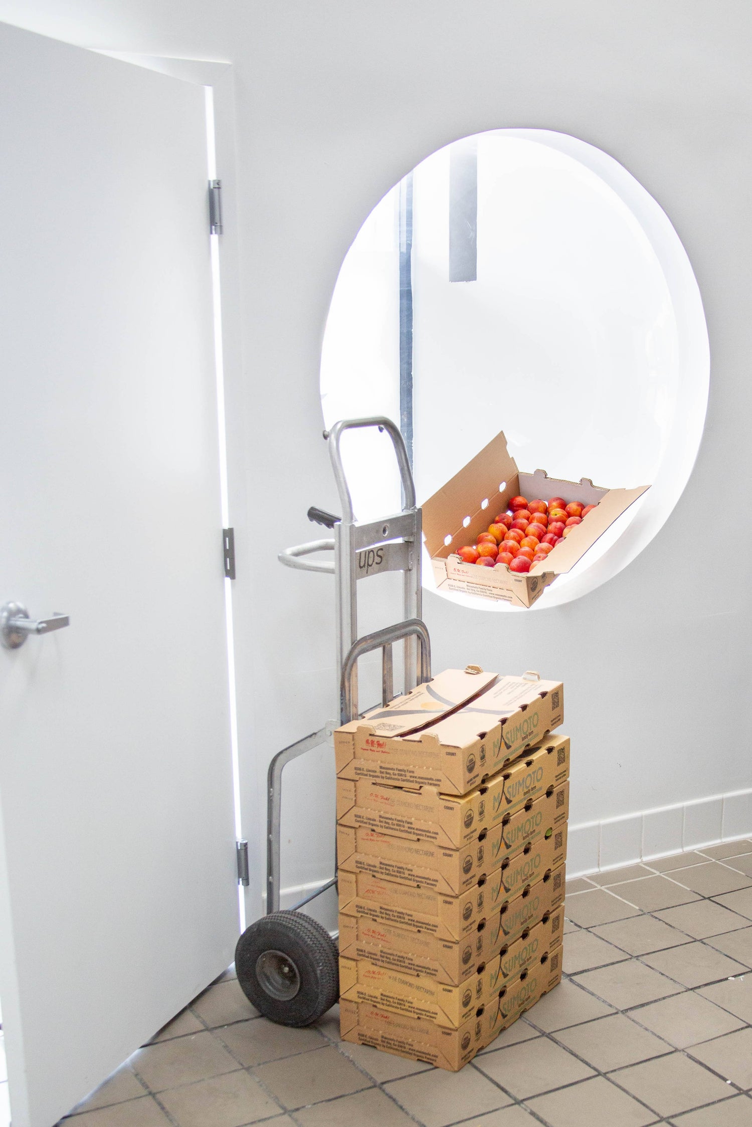 Organic Masumoto Nectarine w/ Peach Leaf Fruit Spread