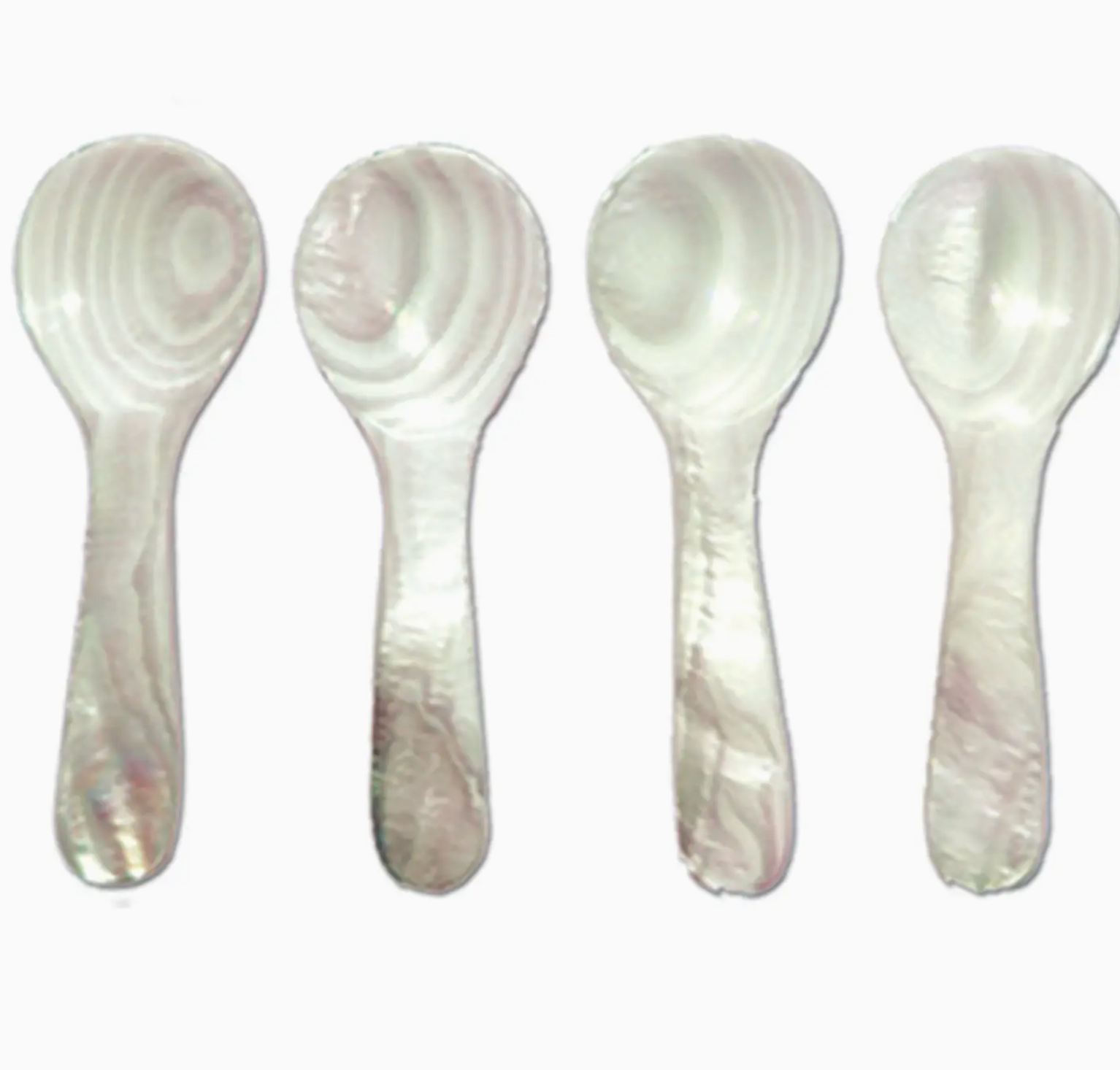Brown Seashell Spoons, Mini Set of 4