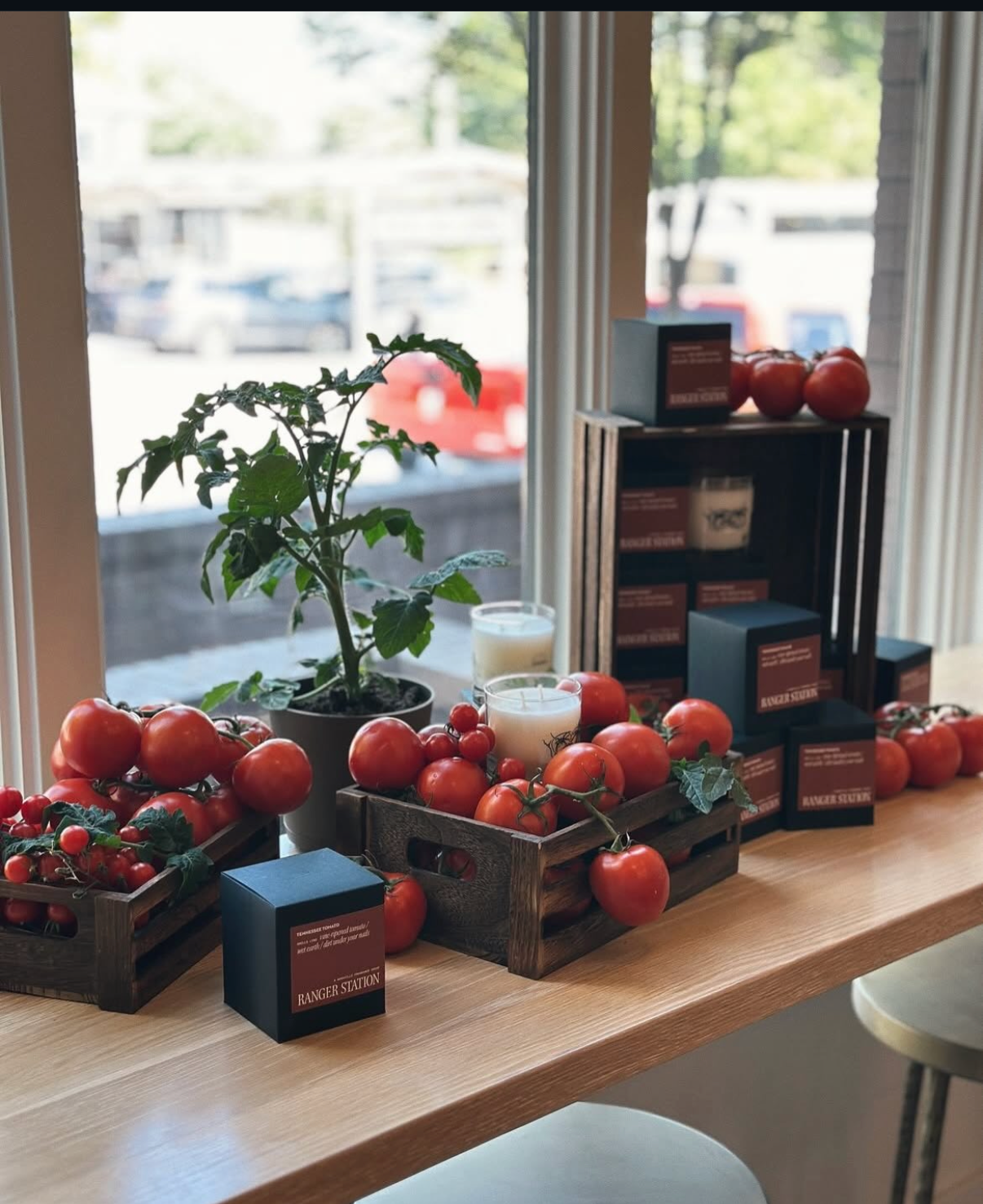 Tennessee Tomato Candle 