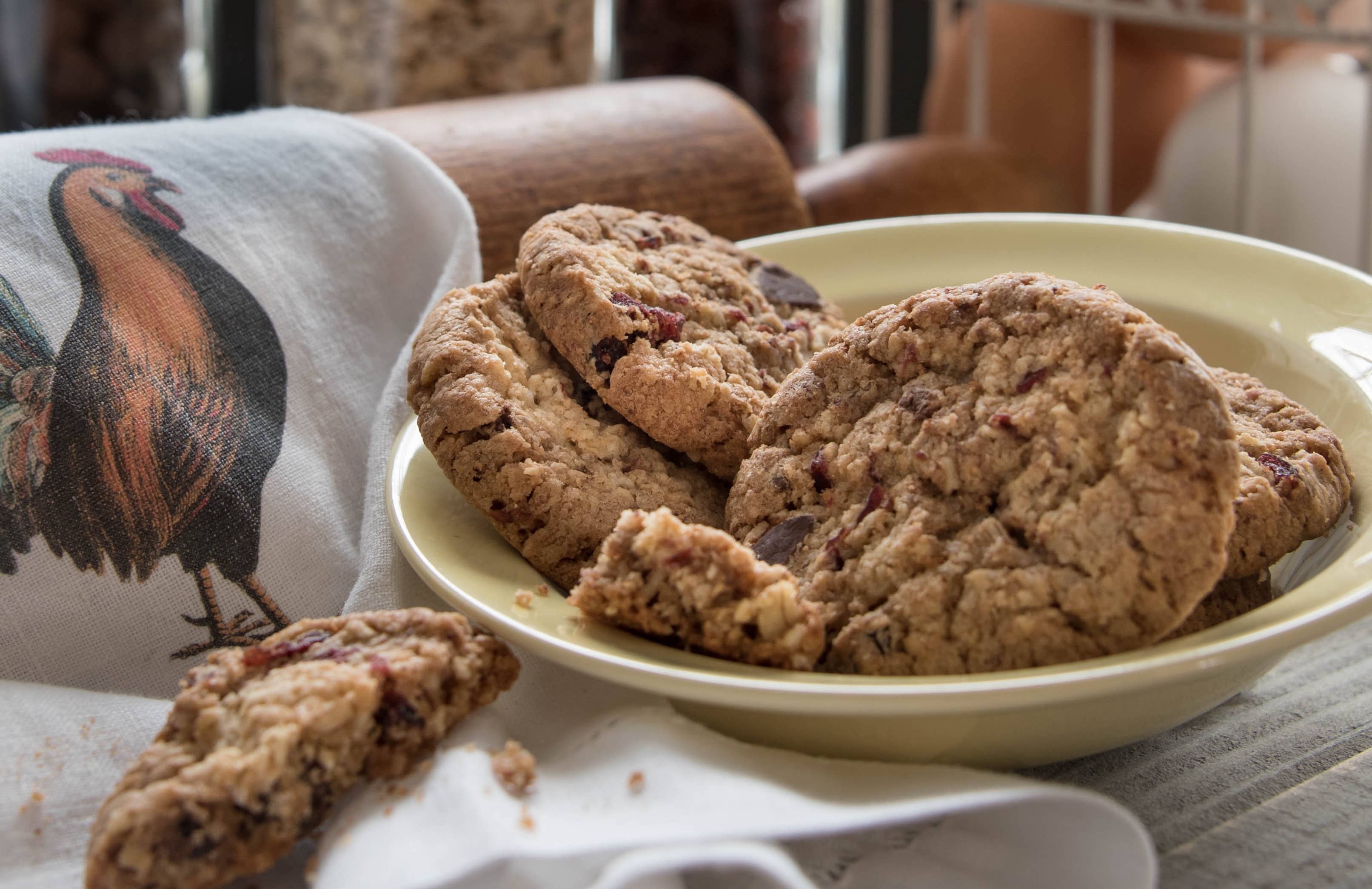 Cranberry Oat Chip - 6 oz