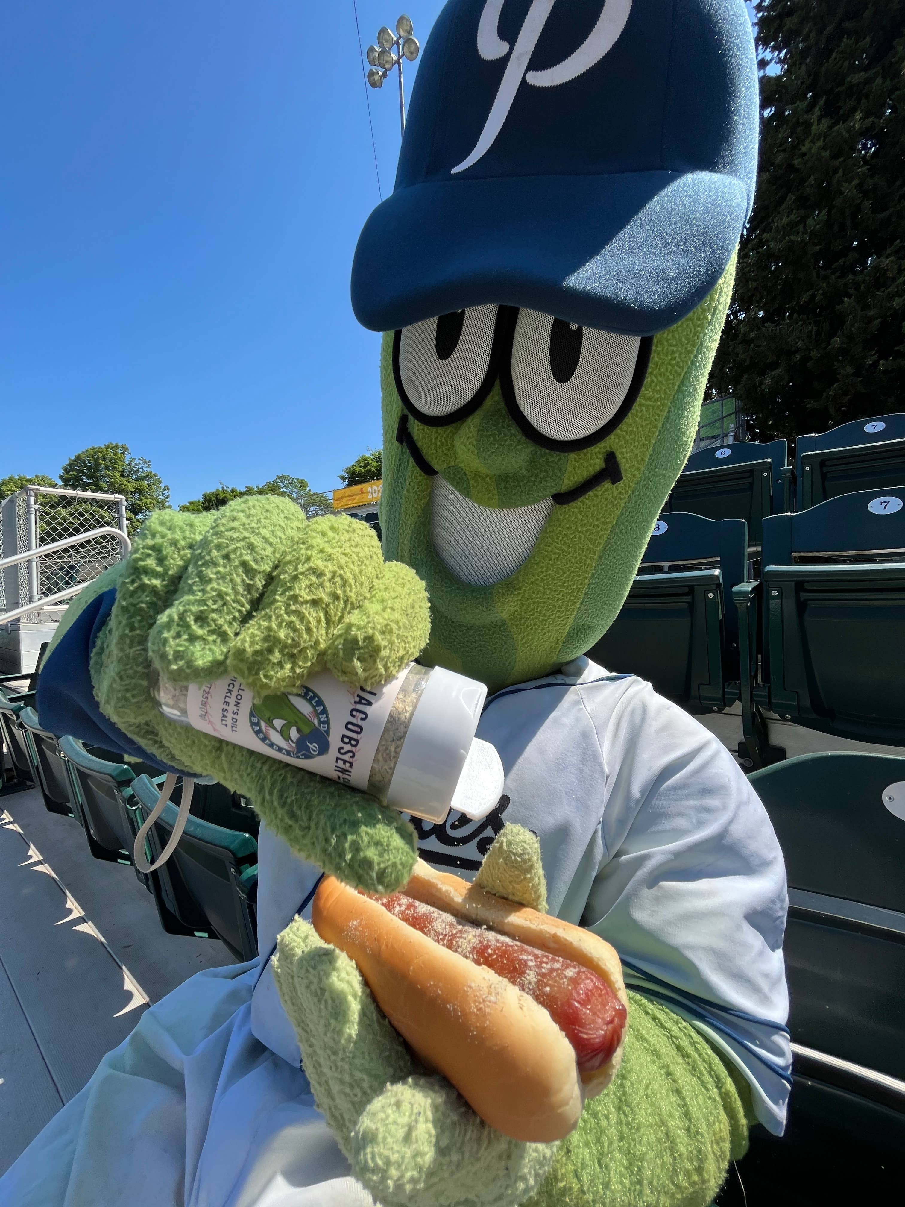 Dill Pickle Salt - Infused Sea Salt - JSC x Portland Pickles