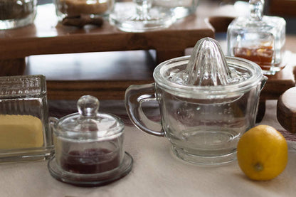 Bistro Glass Citrus Hand Press Juicer